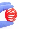 Everything You Need to Know About Varicoceles