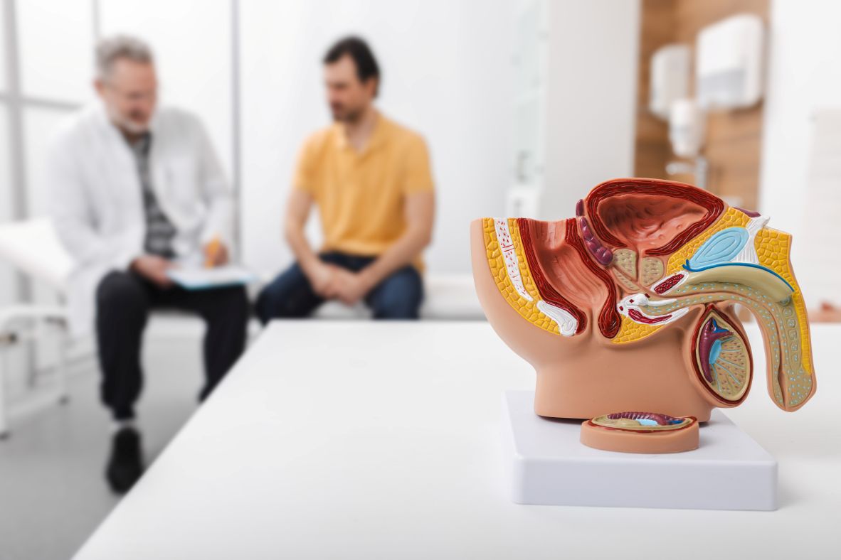 3D diagram of male reproductive organs with doctor and patient in background
